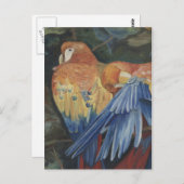 Carte Postale perroquets oranges (Devant / Derrière)