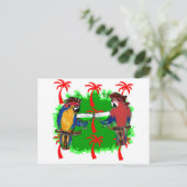 CARTE POSTALE PERROQUETS PIRATES (Debout devant)