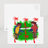 CARTE POSTALE PERROQUETS PIRATES (Devant / Derrière)