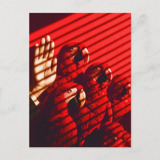Carte Postale Perroquets rouges et main (Devant)