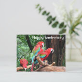 Carte Postale Perroquets rouges, verts et bleus joyeux anniversa (Debout devant)