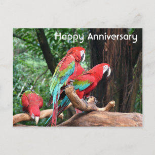 Carte Postale Perroquets rouges, verts et bleus joyeux anniversa