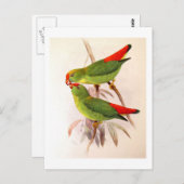 Carte Postale Perroquets suspendus (Devant / Derrière)