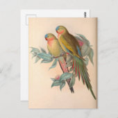 Carte Postale Perroquets, Vintage, Illustration d'oiseaux, Bohèm (Devant / Derrière)