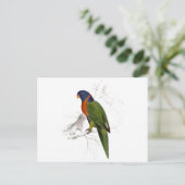 Carte Postale Perruche à collier écarlate d'Edward Lear (Debout devant)