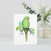 Carte Postale Perruche à collier indien vert (Debout devant)