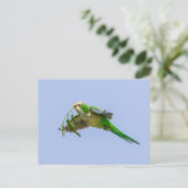 Carte Postale Perruche de moine dans la vallée du Rio Grande (Debout devant)