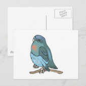 Carte Postale perruche oiseau vert et bleu (Devant / Derrière)
