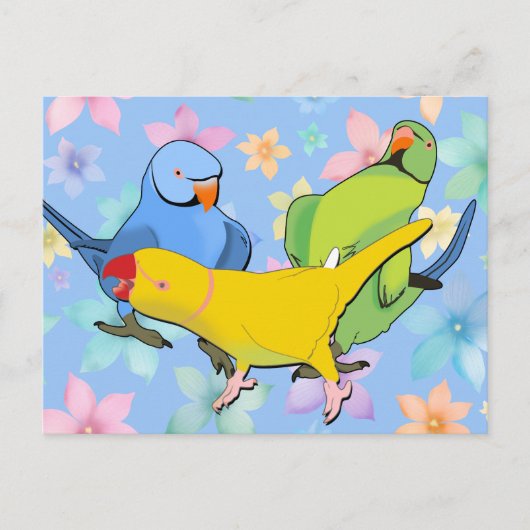Carte Postale Perruches à collier vibrant Indien Oiseaux de comp (Devant)