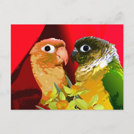Carte Postale Perruches Conure à Joues Vertes Douces en Amour Pe (Devant)