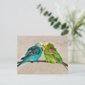 Carte postale Perruches en amour (Debout devant)