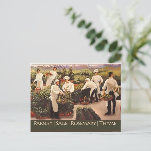 Carte Postale Persil, Sage, romarin et thym (Debout devant)