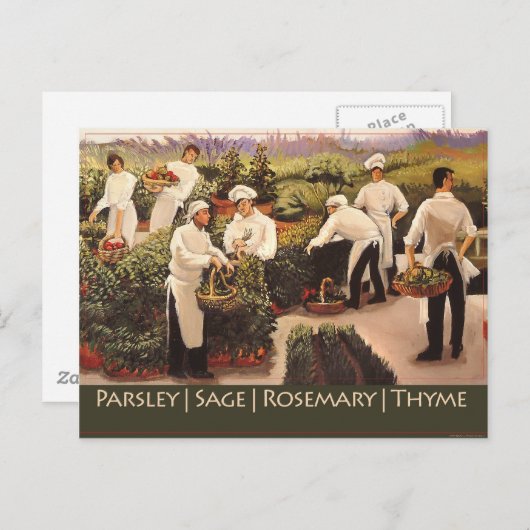 Carte Postale Persil, Sage, romarin et thym (Devant / Derrière)