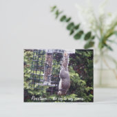 Carte Postale Persistance (Debout devant)