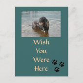 Carte postale personnalisable (Devant)