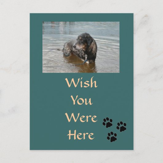 Carte postale personnalisable (Devant)