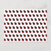 Carte postale personnalisable Ladybugs (Devant)