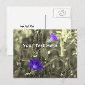 Carte postale personnalisable Morning Glories (Devant / Derrière)