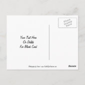 Carte postale personnalisable Morning Glories (Dos)