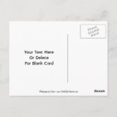 Carte postale personnalisable Ornate Red Heart (Dos)