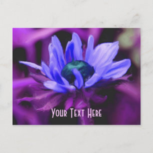 Carte Postale Personnalisable Purple Daisy Floral