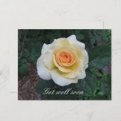 Carte postale Personnalisable Rose Jaune (Devant / Derrière)