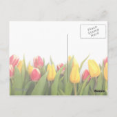 Carte postale personnalisable Tulips Thank-You (Dos)