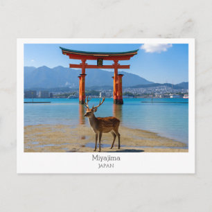 Carte Postale Personnalisé, Miyajima, Japon
