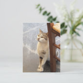 Carte postale personnalisée (Debout devant)