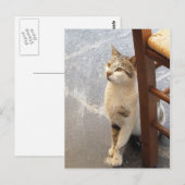 Carte postale personnalisée (Devant / Derrière)