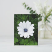Carte postale personnalisée aux fleurs blanches (Debout devant)