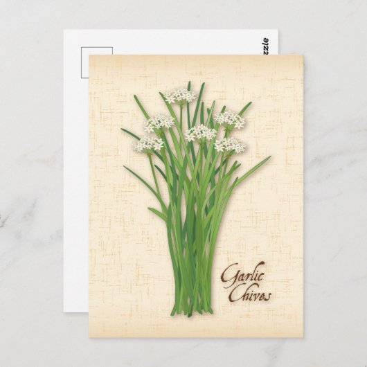 Carte postale personnalisée avec ciboulette et ail (Devant / Derrière)