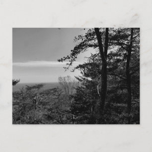 Carte postale personnalisée avec photographie en n