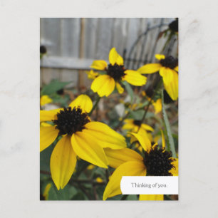 Carte postale personnalisée Black Eyed Susan Garde