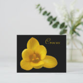 Carte postale personnalisée Crocus jaune (Debout devant)