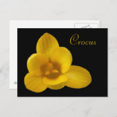 Carte postale personnalisée Crocus jaune (Devant / Derrière)