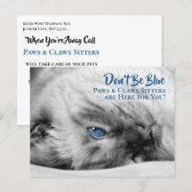 Carte postale personnalisée de Blue Eyed Siamese