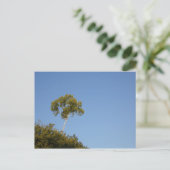 Carte postale personnalisée de l'arbre de la foule (Debout devant)