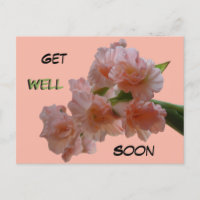 Carte postale personnalisée Gladioli Pastel Meille