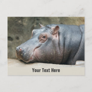 Carte postale personnalisée Hippopotame