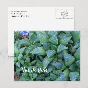 Carte postale personnalisée Merci Haworth Plantes