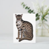 Carte Postale Personnaliser (Debout devant)