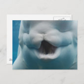 Carte Postale Personnaliser (Devant / Derrière)