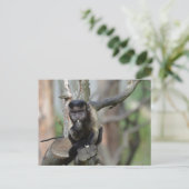 Carte Postale Personnaliser (Debout devant)