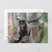 Carte Postale Personnaliser (Devant / Derrière)