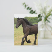 Carte Postale Personnaliser (Debout devant)