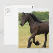 Carte Postale Personnaliser (Devant / Derrière)