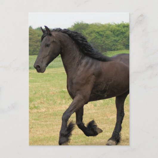 Carte Postale Personnaliser (Devant)