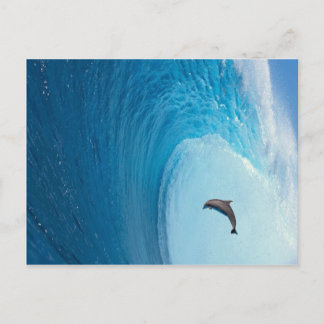 Carte Postale Personnaliser