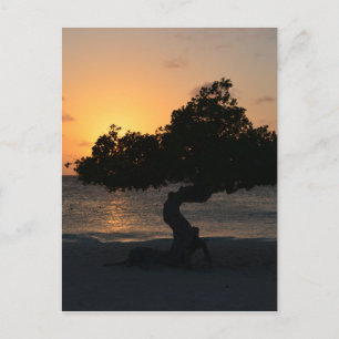Carte Postale Personnaliser